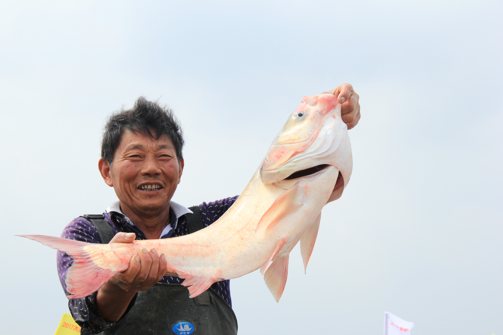 太湖七都美味鱼蟹现捕现吃，还能看鸬鹚，就这么傲娇｜内附视频