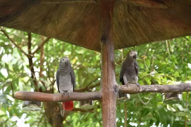 三亚最值得小朋友去的地方,三亚美景小孩最喜欢玩的地方