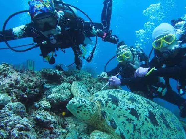 一个让人看了就想脱衣服的海岛，还能与漫天萤火虫共舞……