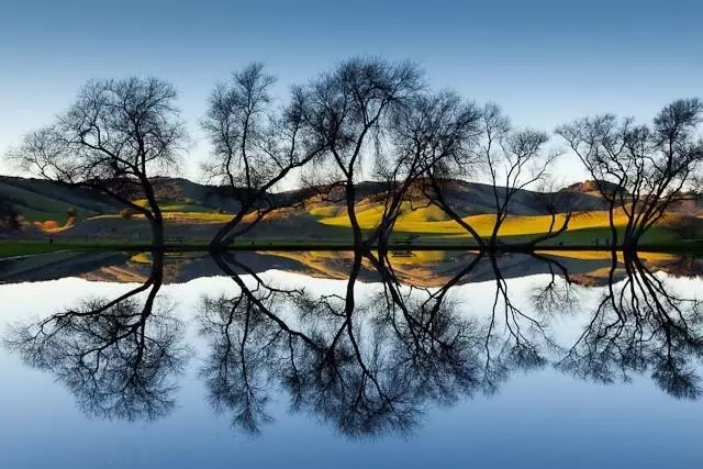 哀莫大于心死短句,哀莫大于心死说明什么