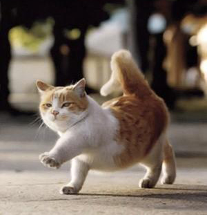 阳台可活动小吧台,阳台能够拥有的小吧台