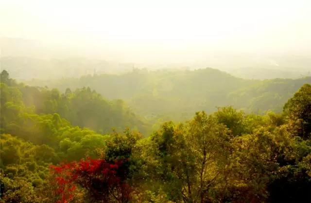 广州景点免费游玩全攻略,广州景点大全免费合适自驾游