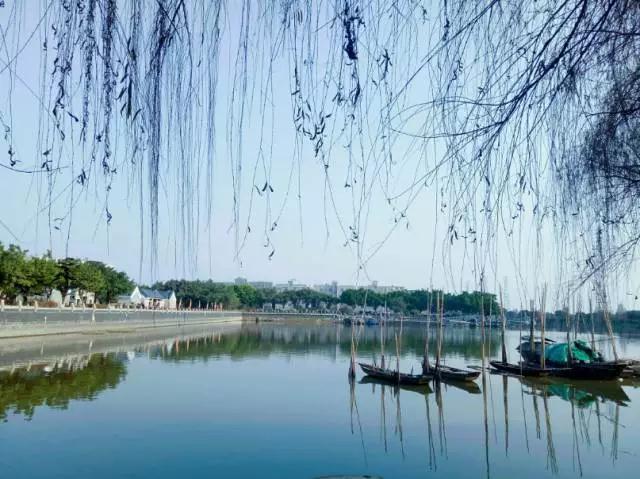 广州景点免费游玩全攻略,广州景点大全免费合适自驾游