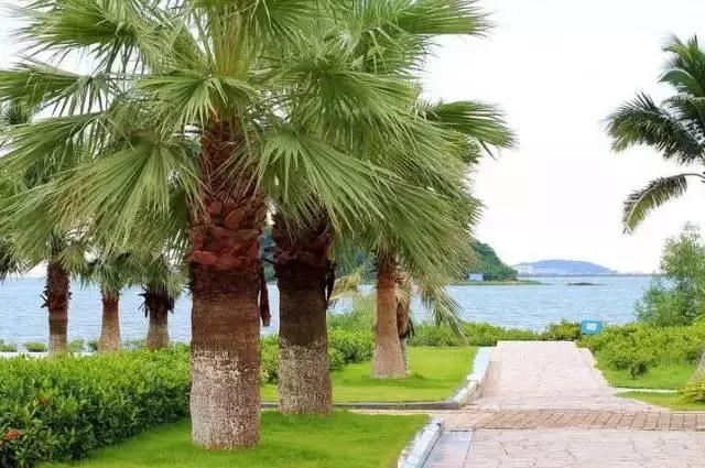 广州景点免费游玩全攻略,广州景点大全免费合适自驾游