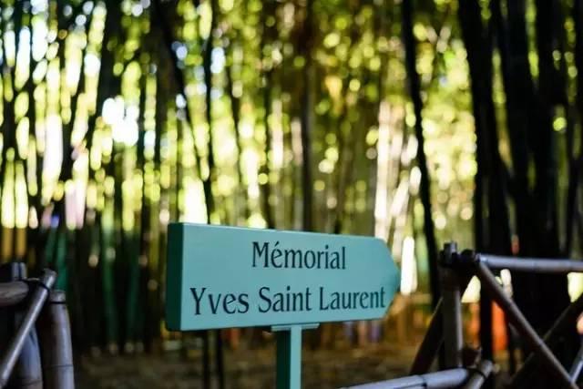 ysl时装视频,2024春夏时装秀ysl