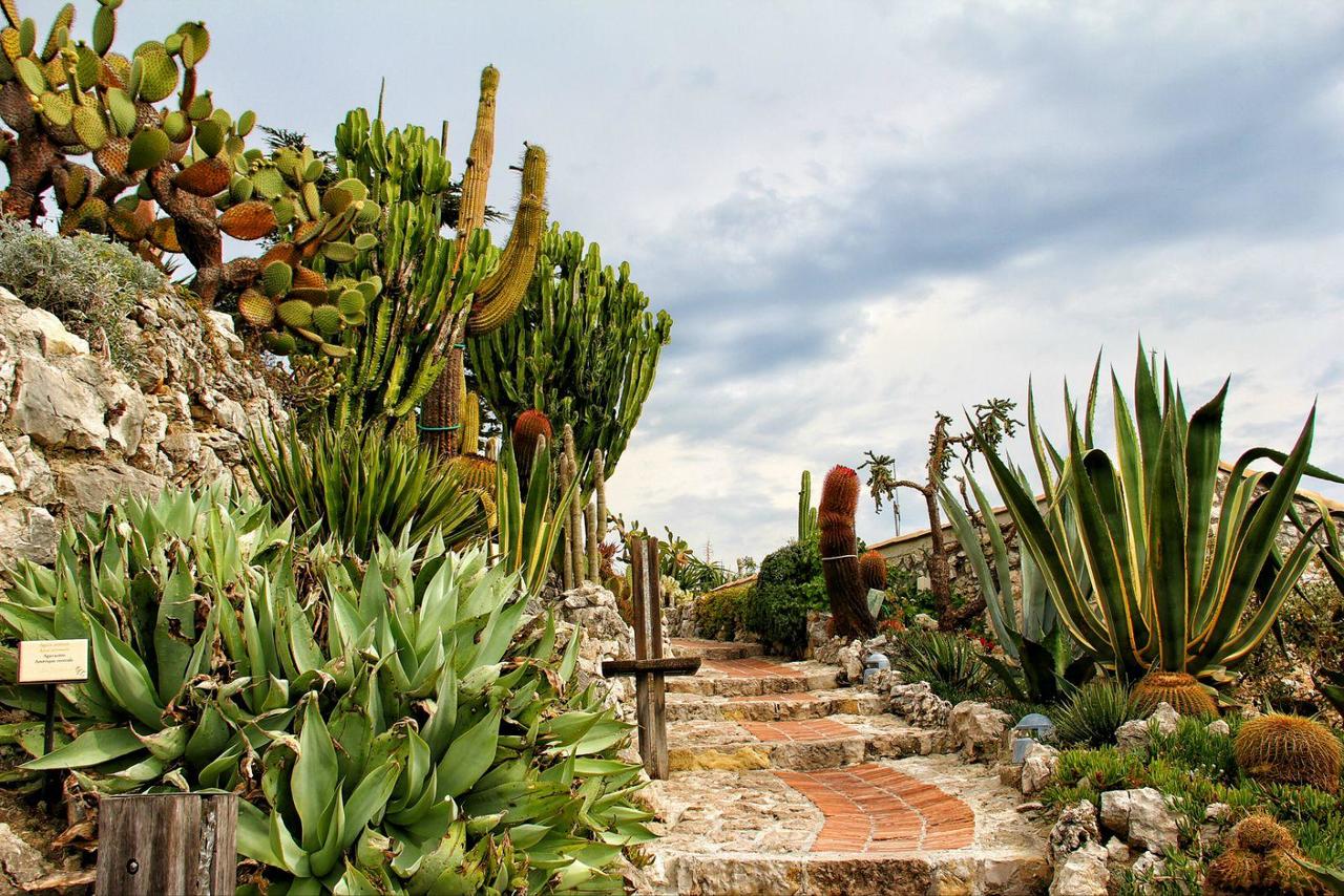 教师节旅行,教师节的旅行