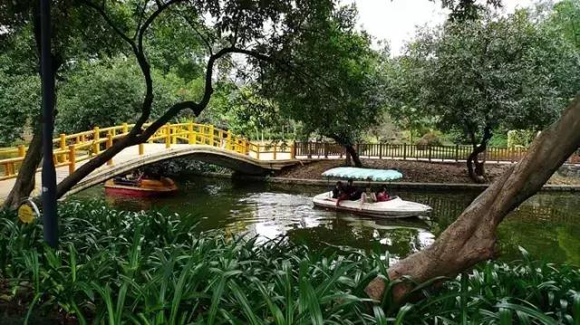 广州景点免费游玩全攻略,广州景点大全免费合适自驾游