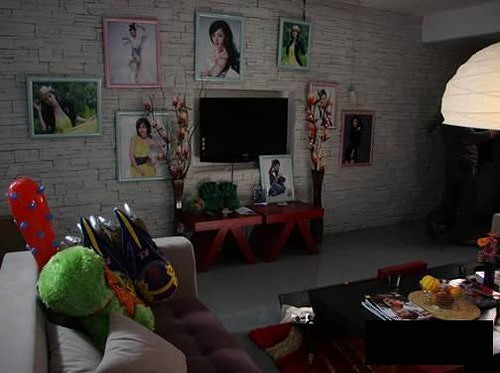 最丑家装评选,最丑的住宅家装