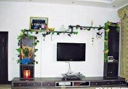 最丑家装评选,最丑的住宅家装