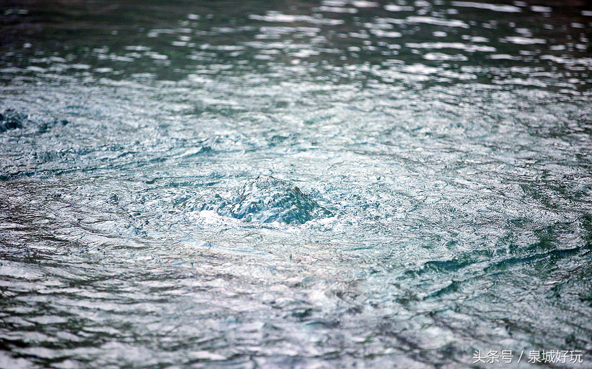 济南教师医护人员免费玩的景点,济南学生能够免费进入的景区