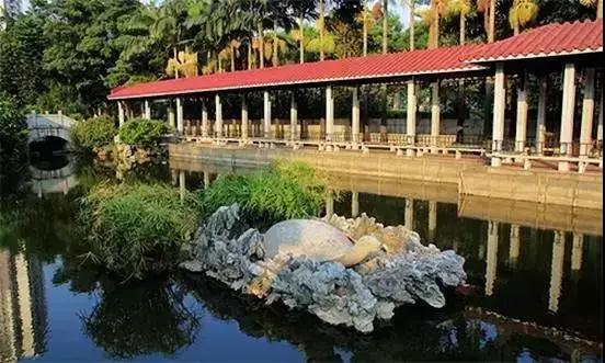 广州景点免费游玩全攻略,广州景点大全免费合适自驾游