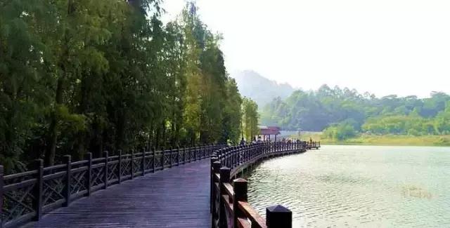 广州景点免费游玩全攻略,广州景点大全免费合适自驾游