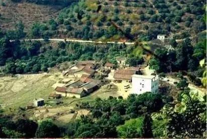 广州景点免费游玩全攻略,广州景点大全免费合适自驾游