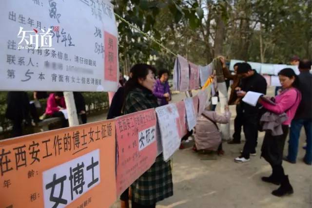 怎么说属羊的女人八字大,91属羊是木命还是土命