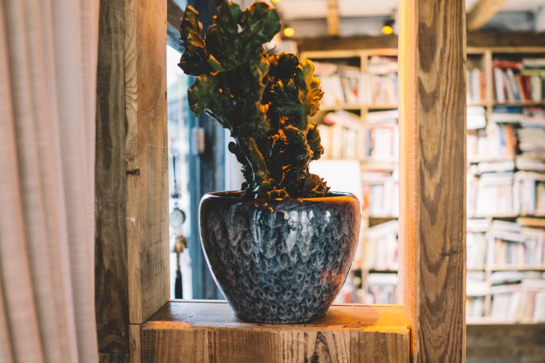 西塘古镇临水露台民宿三人住,梦里水乡西塘小桥流水人家