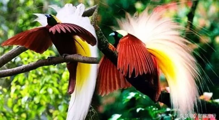 合适潜水的东南亚海岛,能够免签的冷门海岛