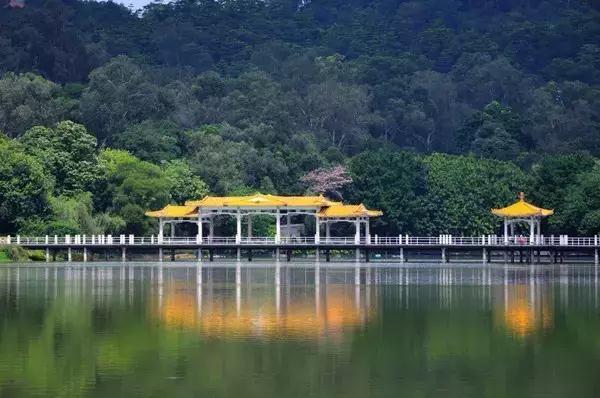 广州景点免费游玩全攻略,广州景点大全免费合适自驾游