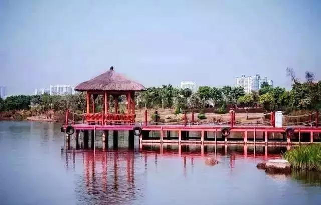 广州景点免费游玩全攻略,广州景点大全免费合适自驾游