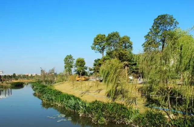 广州景点免费游玩全攻略,广州景点大全免费合适自驾游