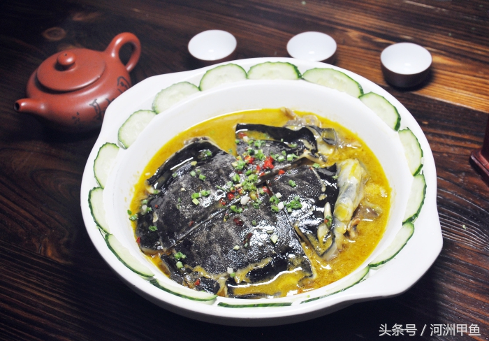 甲鱼的苦胆能够和甲鱼一起炖吗,红烧甲鱼和甲鱼汤哪个更有营养