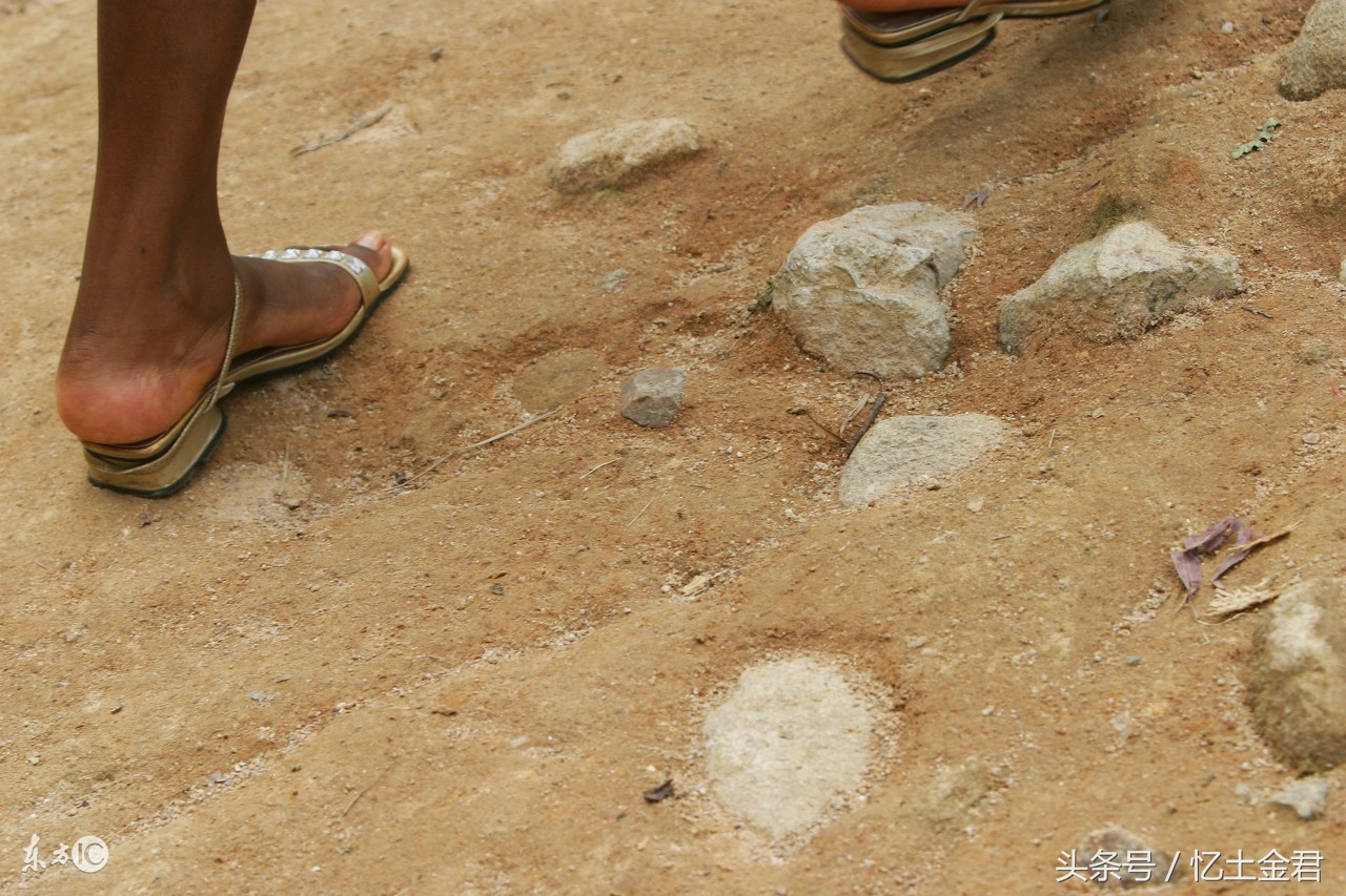 拿破仑大军因脚气病差点没能征服埃及，有高人献秘方救了法兰西军