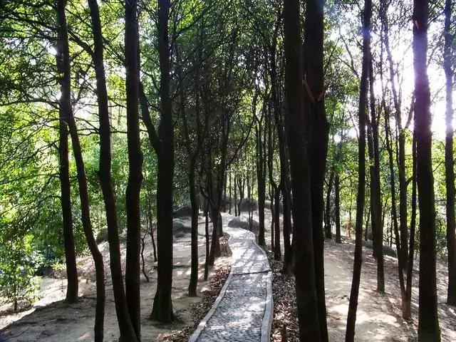 广州景点免费游玩全攻略,广州景点大全免费合适自驾游