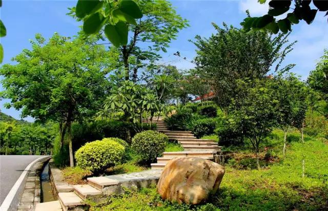 广州景点免费游玩全攻略,广州景点大全免费合适自驾游