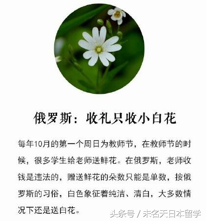 盘点各国教师节：日本老师福利多、芬兰老师地位高于元首《玫瑰》
