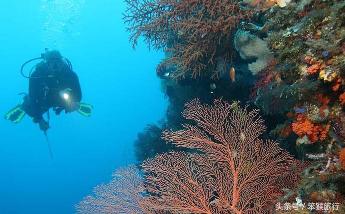 合适潜水的东南亚海岛,能够免签的冷门海岛