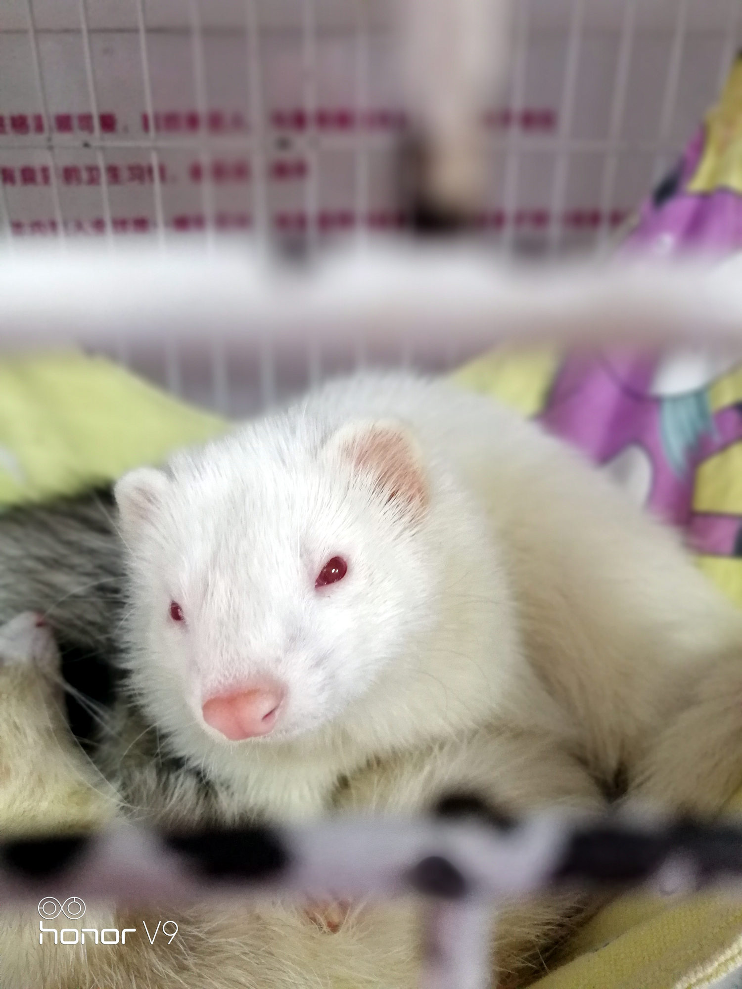 荣耀v9手机体验评测,荣耀v9真机评测