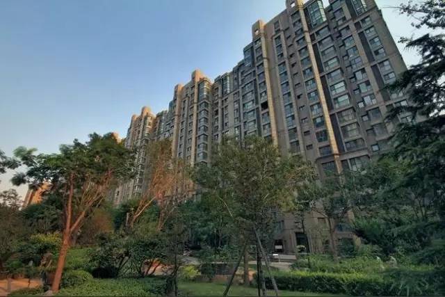 姥姥不疼舅舅不爱的人是什么性格,姥姥不疼舅舅不爱爸妈爱妹妹