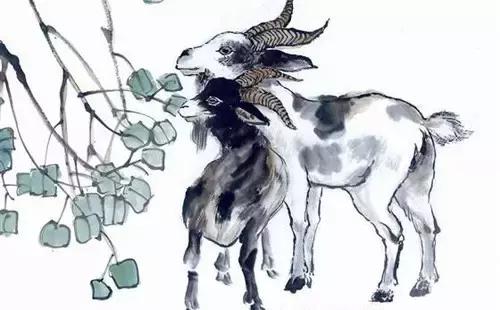 属猴人遇马羊猴鸡狗猪年运程,生肖马羊狗鸡猪猴下半年的运势