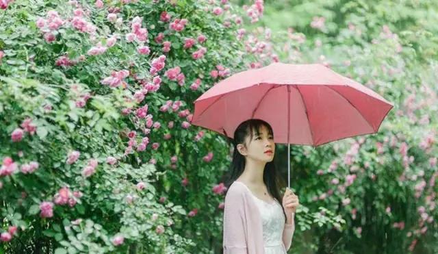 绿鹅十日谈,绿鹅的故事简介