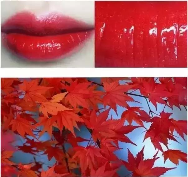 2022黄皮最显白的十大口红,有哪些合适黄皮的口红