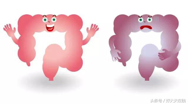 吃完饭肚子不舒服放臭屁,女生肚子胀放臭屁怎么办