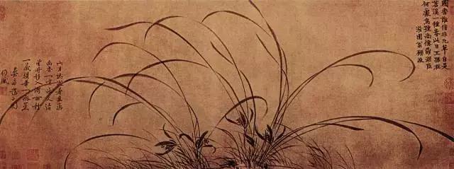 兰花到底美在哪里为什么那么贵,兰花之美只有中国人最懂