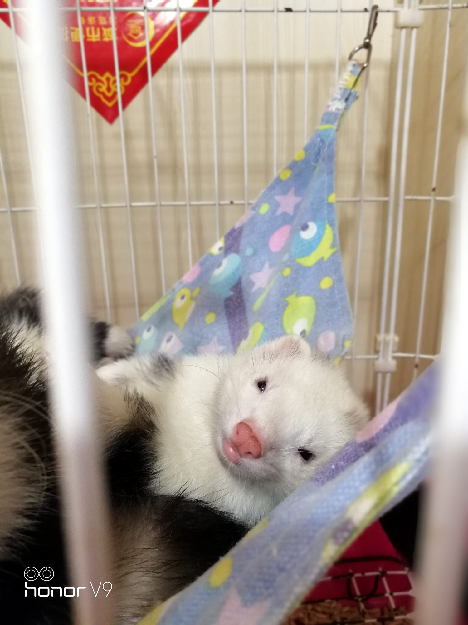 荣耀v9手机体验评测,荣耀v9真机评测