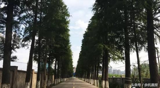 临平土地规划,临平新城核心区用地规划