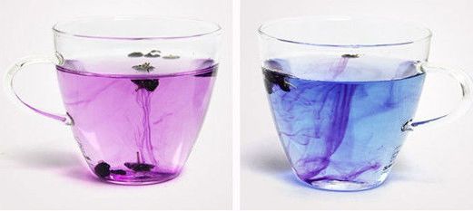 黑枸杞怎么便宜了,黑枸杞有便宜有贵的