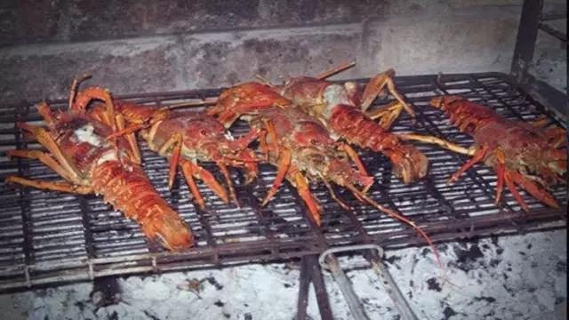 小龙虾的种类及吃法,小龙虾的100种神仙吃法图片