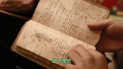 蟑螂的神奇治疗功效,蟑螂那么多用什么药治