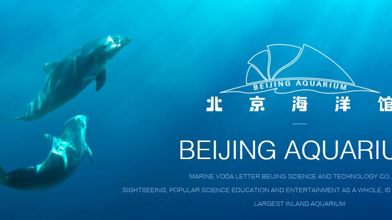 北京周边合适带孩子的海边,离北京最近的海亲子游玩