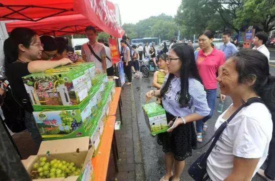 农产品品牌命名,如何推广农产品的品牌文化