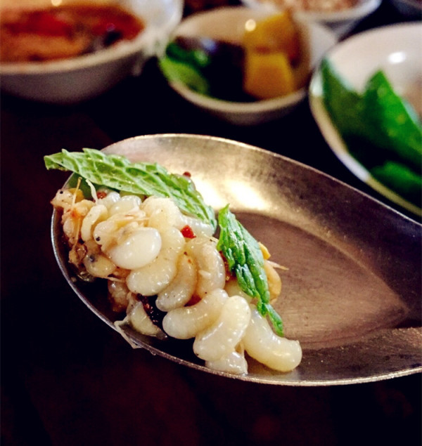 这些美味的虫子你敢吃吗,盘点能够吃的虫子