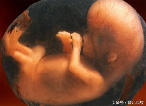 怀孕6个月老是想哭感觉委屈,怀孕六个月难过哭泣