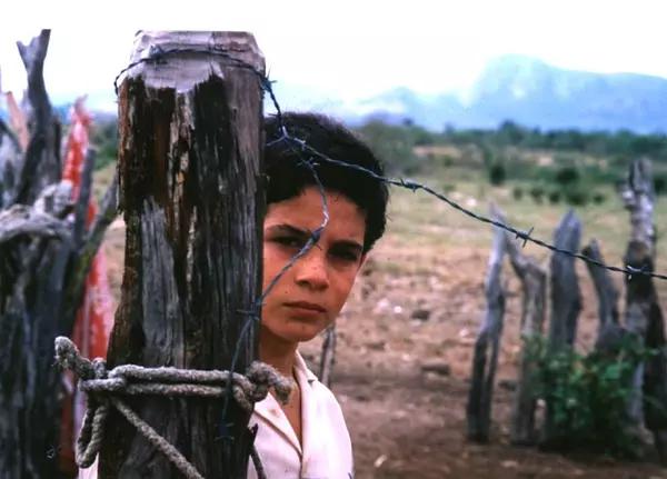 世界10部最值得看的公路电影,令人震撼的公路