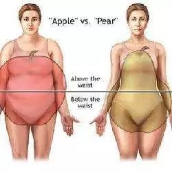 胖不胖，自己说了不算，用最简单的数据说话