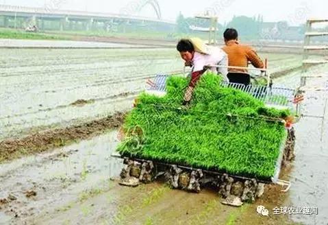 各种农机大盘点（2），你认识几种？