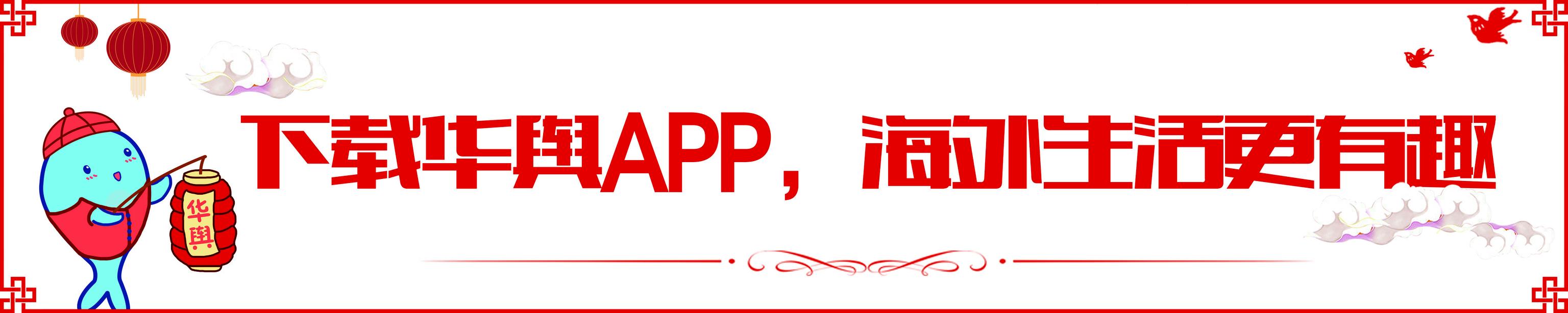 留学生代购被刑拘,留学生寄毒被抓