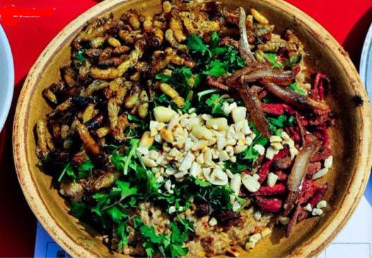 这些美味的虫子你敢吃吗,盘点能够吃的虫子